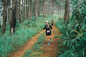 BIB: 
                            <button type="button" onclick="openModal(25655664)" class="btn btn-primary btn-sm float-right btn-popup" data-toggle="modal" data-target=".modal-high-quality">
                        <i class="fas fa-shopping-cart"></i> Add to Cart
                    </button>
                                            <button type="button" onclick="isThisMe(25655664, true)" class="btn btn-success btn-sm float-right btn-popup btn-isme hidden" data-toggle="tooltip" data-placement="bottom" title="นี่คือรูปของคุณใช่ไหม คลิกที่นี่เพื่อเอาเข้าอัลบั้ม">
                        <i class="fas fa-plus"></i> Add to album
                    </button>
                    <button type="button" onclick="isThisMe(25655664, false)" class="btn btn-warning btn-sm float-right btn-popup btn-isnotme hidden">
                        <i class="fas fa-ban"></i> Remove from album
                    </button>